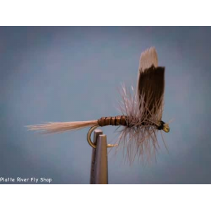 Blue Quill