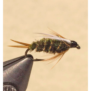 Prince Nymph